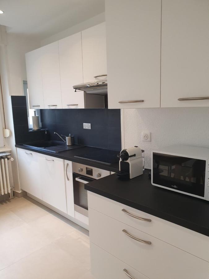 Appartement De Prestige Au Centre Climatise Avec Jardin Prive Colmar Buitenkant foto