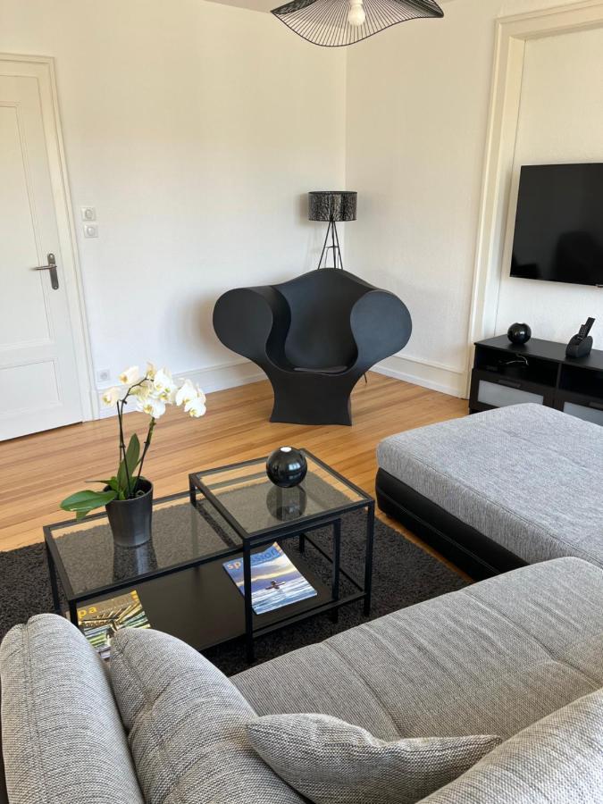 Appartement De Prestige Au Centre Climatise Avec Jardin Prive Colmar Buitenkant foto