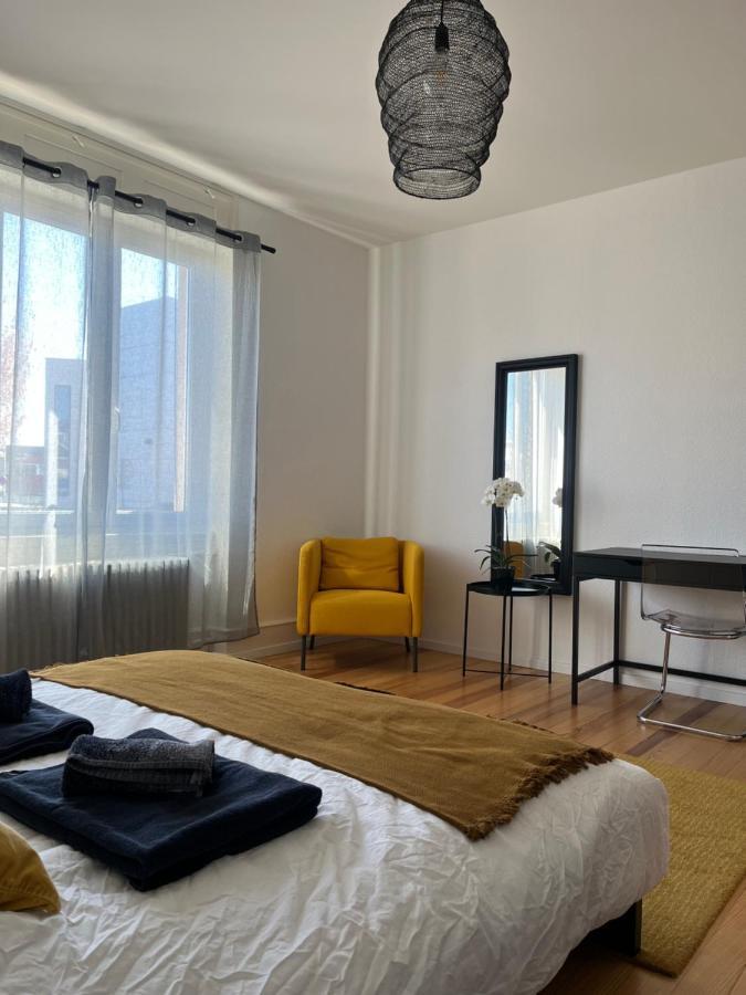 Appartement De Prestige Au Centre Climatise Avec Jardin Prive Colmar Buitenkant foto
