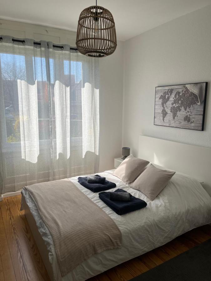 Appartement De Prestige Au Centre Climatise Avec Jardin Prive Colmar Buitenkant foto